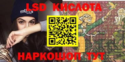 амф Гатчина