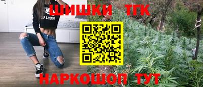 спайс Гагарин