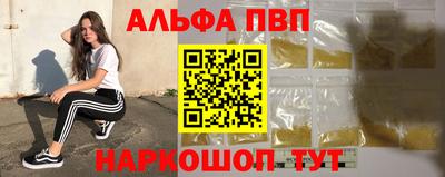 амф Гатчина