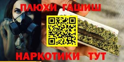 амф Гатчина
