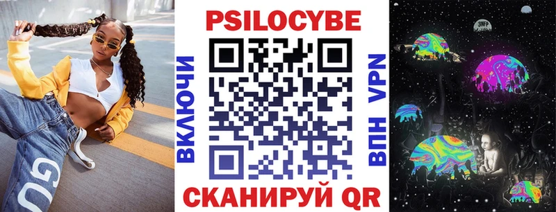Галлюциногенные грибы Psilocybe  Нижний Новгород 