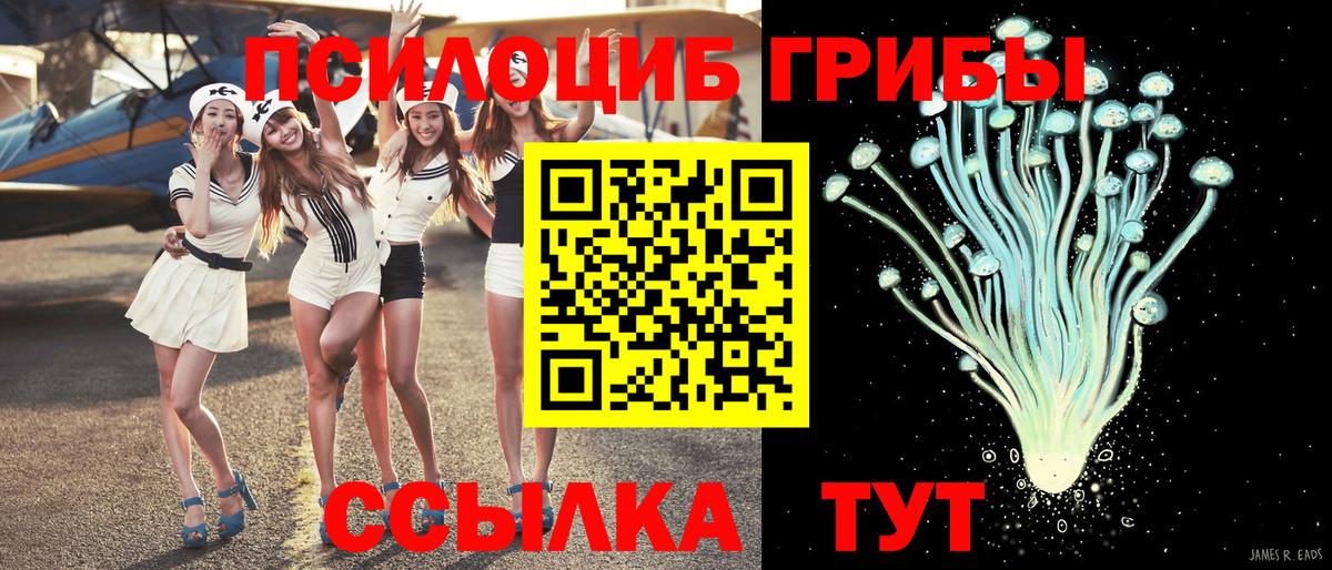 Псилоцибиновые грибы прущие грибы Нижний Новгород