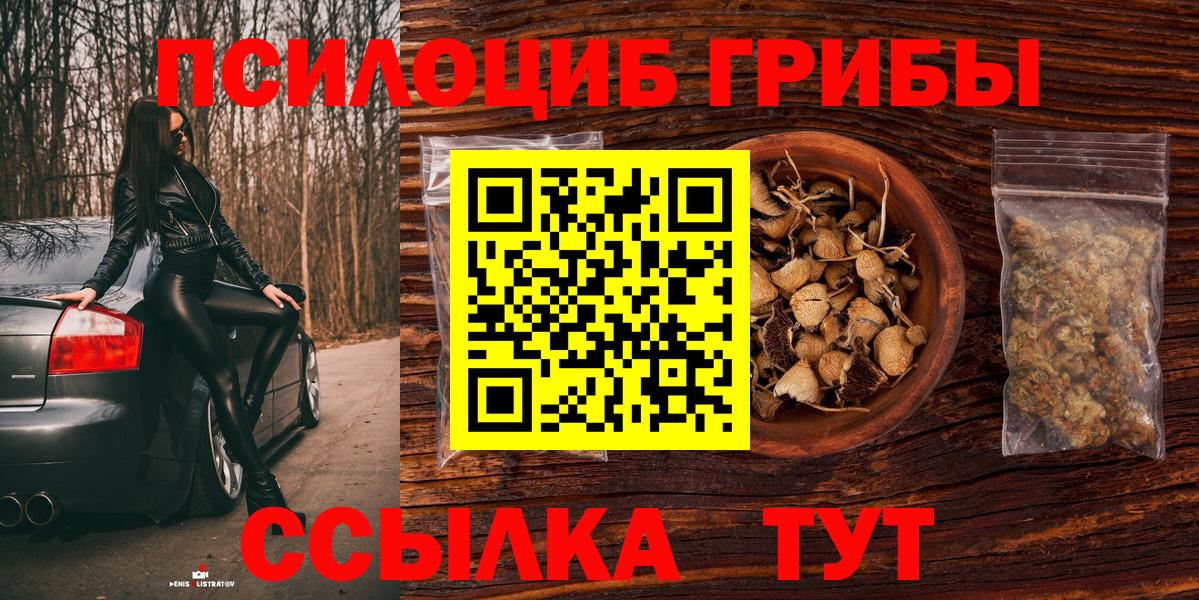 Галлюциногенные грибы мухоморы  Псилоцибиновые грибы Cubensis  Нижний Новгород 