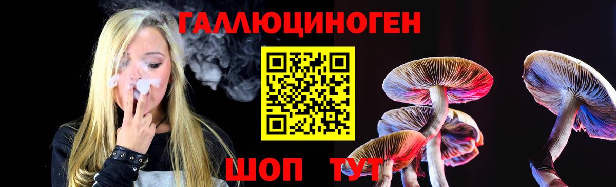 Псилоцибиновые грибы GOLDEN TEACHER Нижний Новгород